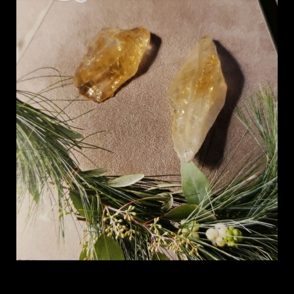 Metabolism-citrine 2 pcs (small) - Picture 5 of 5